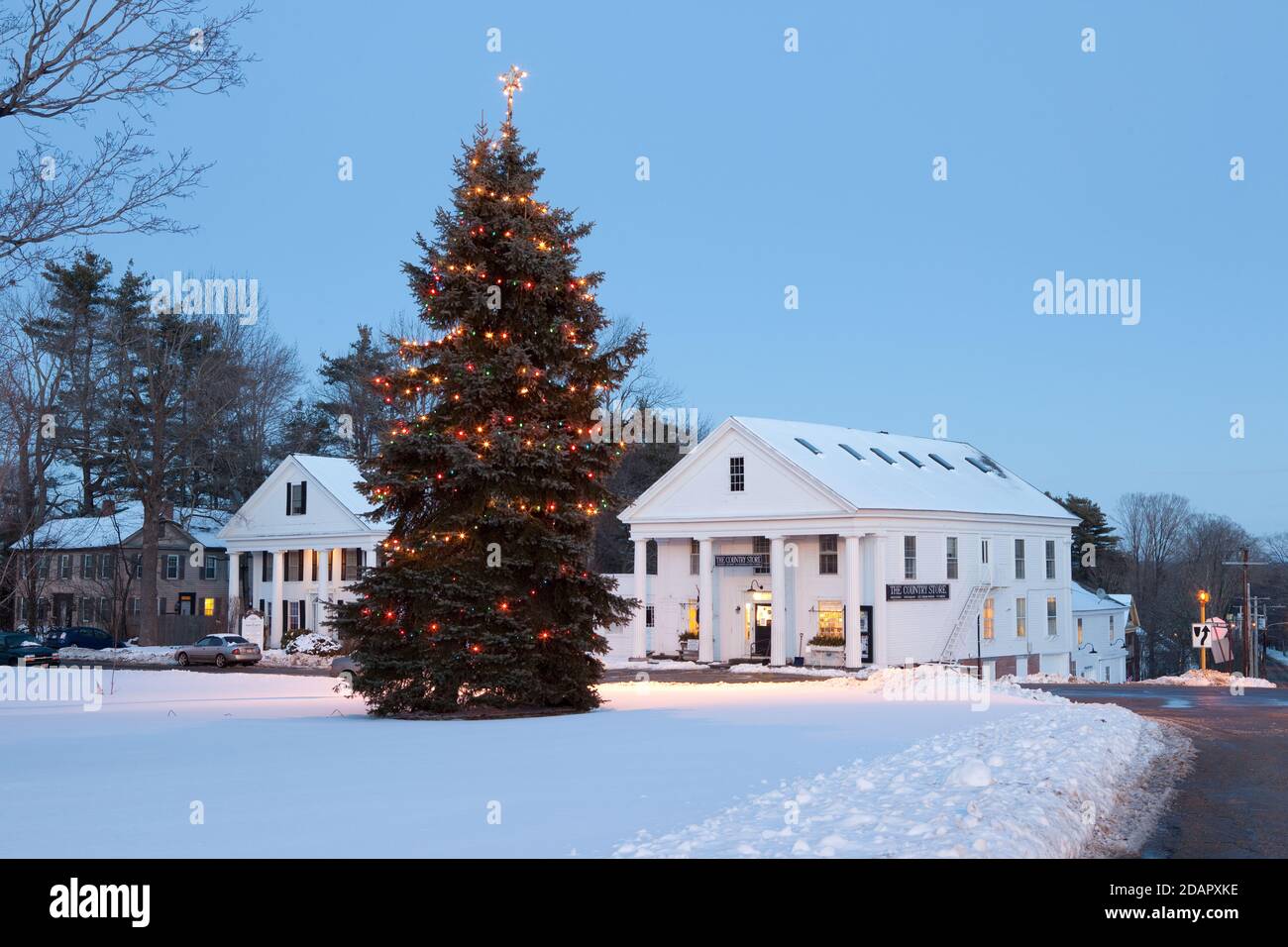 Ein hoher Baum mit Weihnachtsbeleuchtung auf Petersham Town geschmückt Allgemein Stockfoto