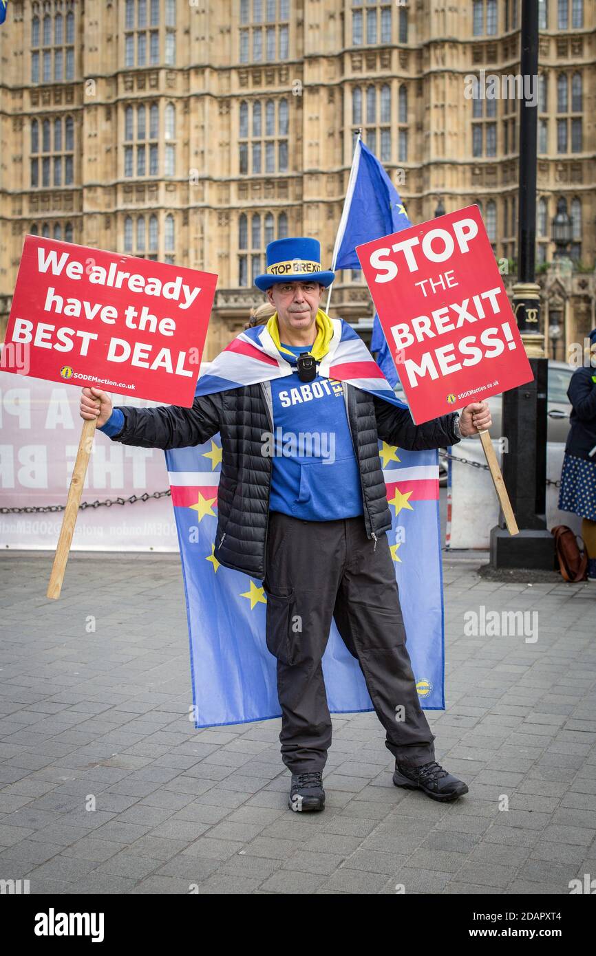 GROSSBRITANNIEN / England /der Anti-Brexit-Kämpfer Steve Bray hält am 29. Januar 2019 in London Plakate vor dem Parlament. Stockfoto