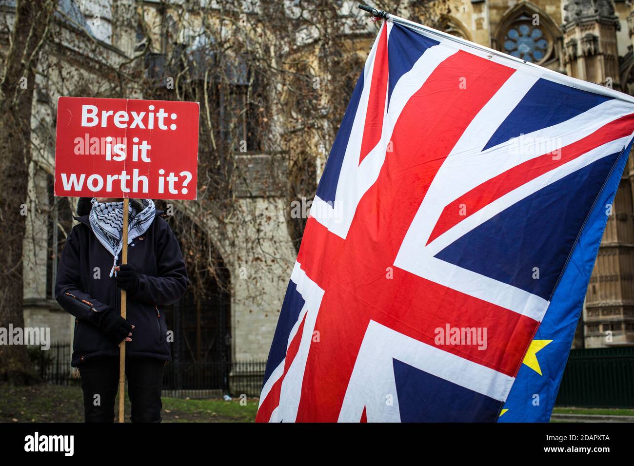 GROSSBRITANNIEN / England / London / Anti-Brexit-Aktivisten protestieren am 29. Januar 2019 vor dem Parlamentsgebäude in London, Unit Stockfoto