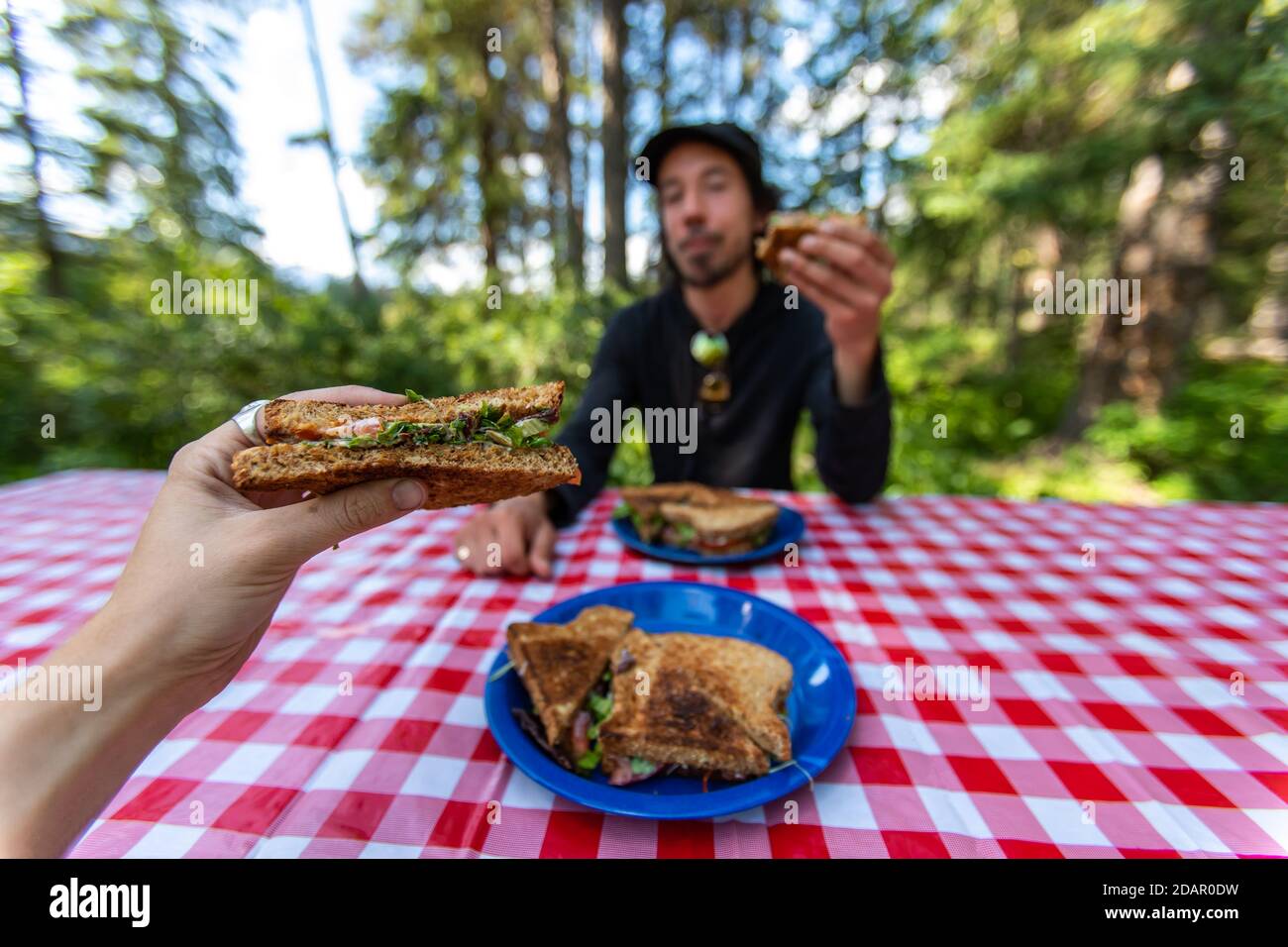 Selektiver Fokus von zwei Erwachsenen mit einem leckeren Zuhause Zubereitete Mahlzeit von Sandwiches an einem Picknicktisch in einem Nationalpark vor der Tür Stockfoto