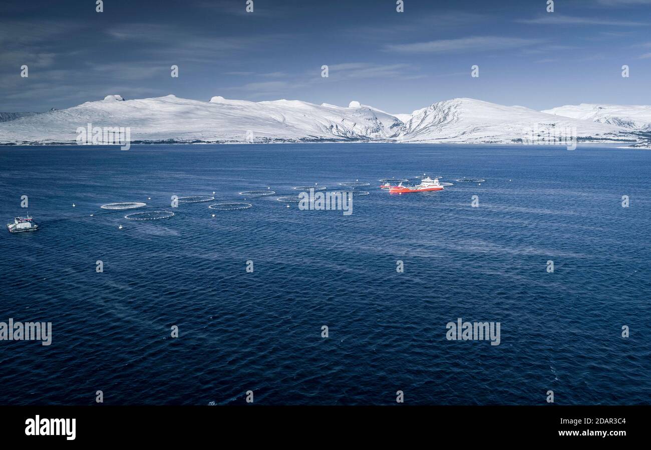 Lachsfarm mit Versorgungsboot in einem Fjord, verschneite Bergkette im Hintergrund, Rana, Nordland, Norwegen Stockfoto