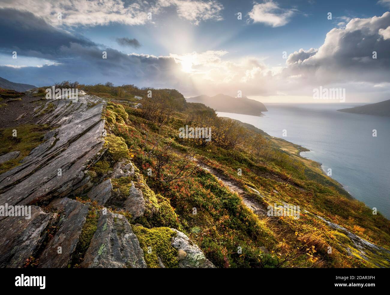 Sonne bricht durch dramatische Wolken auf dem Fjord mit Felsen und gefärbtem Moos im Herbst, Nesna, Nordland, Norwegen Stockfoto