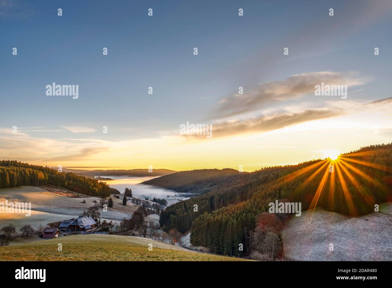 Herbststimmung über Schildwende, Breitnau, Oberschwarzwald, Schwarzwald, Baden-Württemberg, Deutschland Stockfoto