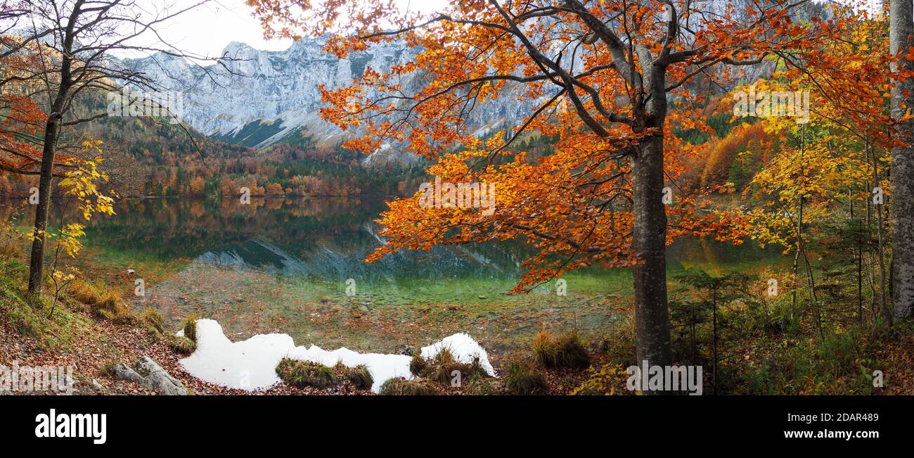 Herbstlich gefärbter Mischwald, Vorderer Langbathsee, Panoramablick, Salzkammergut, Oberösterreich, Österreich Stockfoto