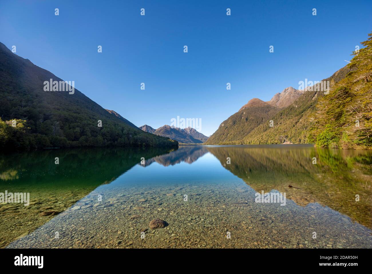 Lake Gunn, Spiegelbild im See, Fjordland National Park, Southland, Südinsel, Neuseeland Stockfoto