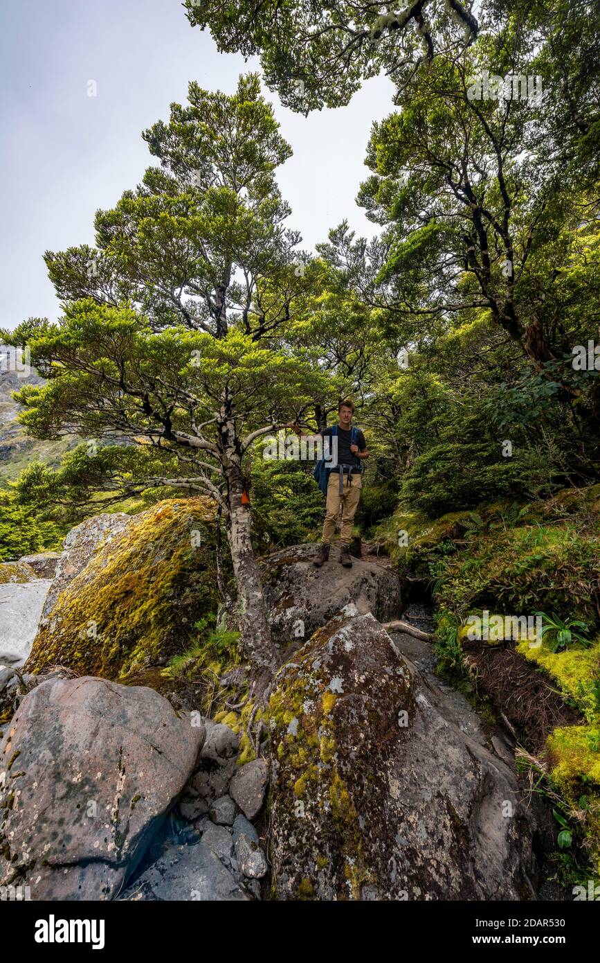 Wanderer auf dem Wanderweg, Gertrude Saddle Route, Fiordland National Park, Southland, Neuseeland Stockfoto