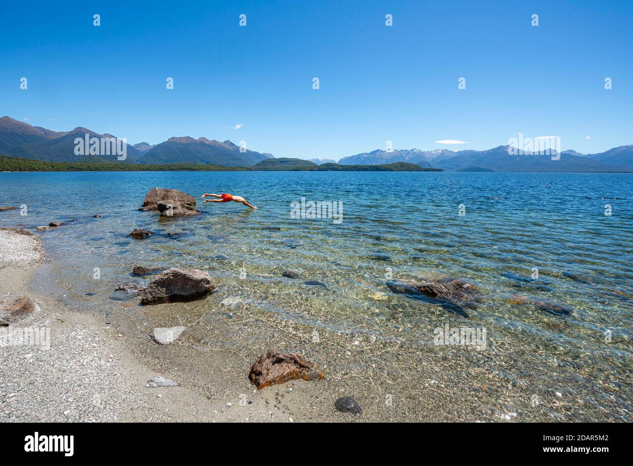 Junger Mann springt von Stein ins Wasser, Beach Fraser Beach, Lake Manapouri, Manapouri, South Island, Neuseeland Stockfoto