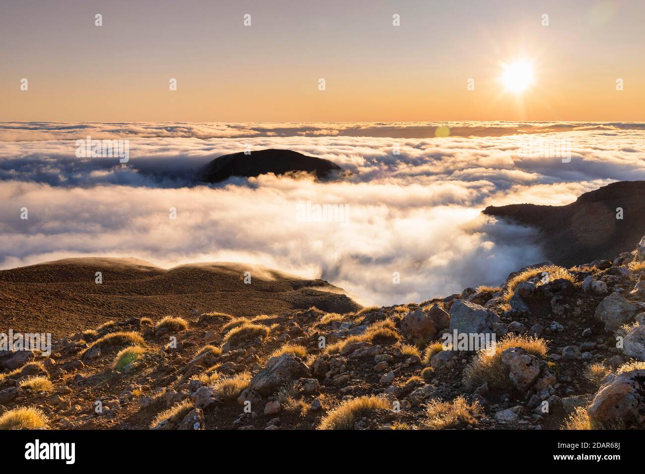 Blick vom Mt. Ngauruhoe zum Mt. Ruapehu bei Sonnenaufgang, Ozeanien, Tongariro-Nationalpark, UNESCO-Weltkulturerbe, Ruapehu, Nordinsel, Neuseeland Stockfoto