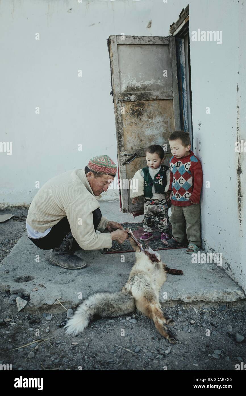 Adlerjäger Bashakhan Spai Haut und schnitzt einen Fuchs. Das Fell wird verkauft, das Fleisch wird in den nächsten Tagen an die Adler, Kisil Tschar, Olgii, Mongolei, verfüttert Stockfoto