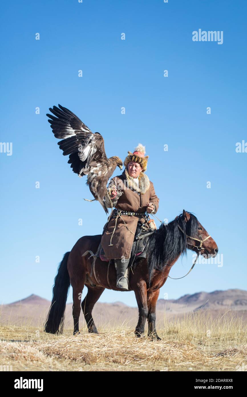 Spai Bashakan trainiert seine Adlerweibin Olgii, Mongolei Stockfoto