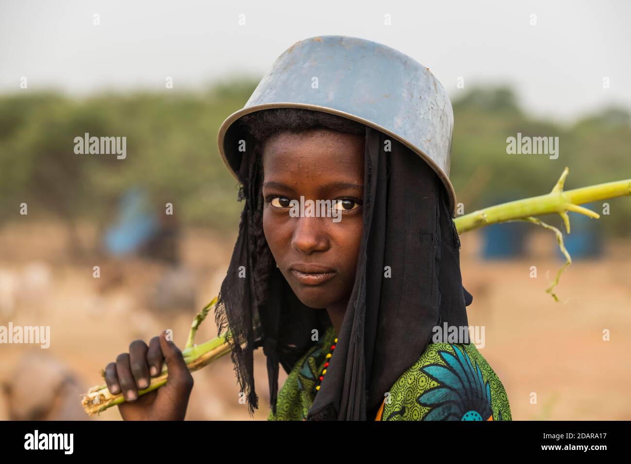 Junges Mädchen mit einem Wassertopf auf dem Kopf, Gerewol-Festival, Balzritualwettbewerb unter den Woodaabe-Fula-Leuten, Niger Stockfoto
