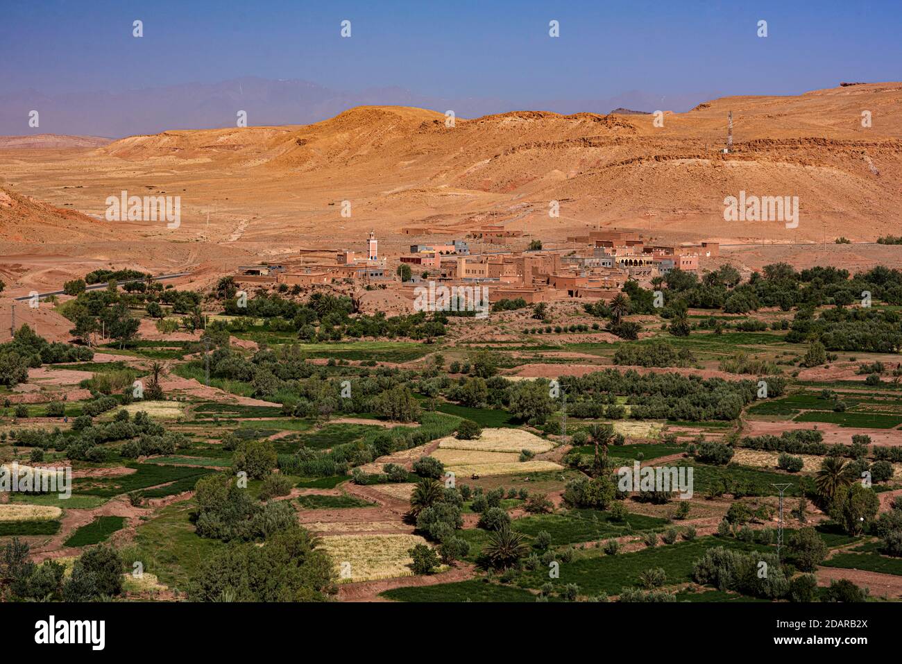 Oase Tinerhir mit alten Schlammhäusern und neu errichteten Gebäuden, Tinerhir, Souss-Massa-Draa, hoher Atlas, Marokko Stockfoto