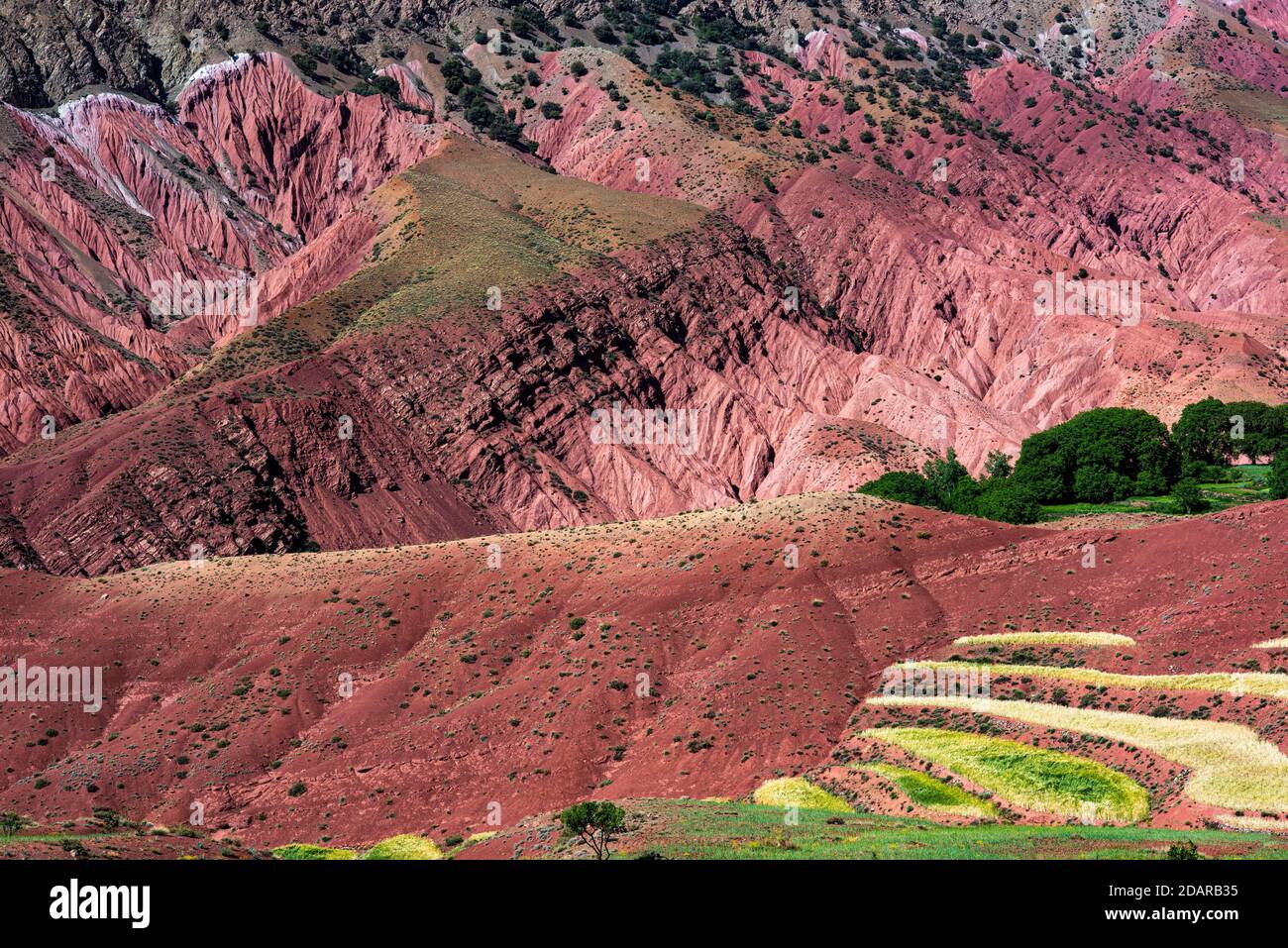 Erosionslandschaft mit kleinen Feldern, Ait Bouguemez, hoher Atlas, Marokko Stockfoto