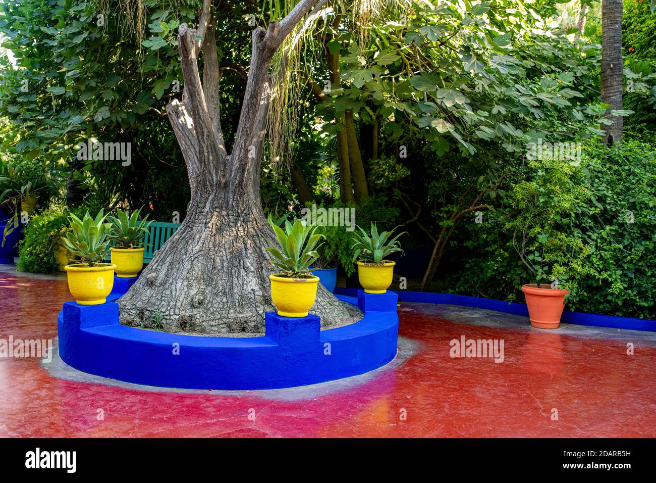 Detail, Jardin Majorelle mit blauem Haus von Yves Saint-Laurent, Botanischer Garten, Marrakesch, Marokko Stockfoto