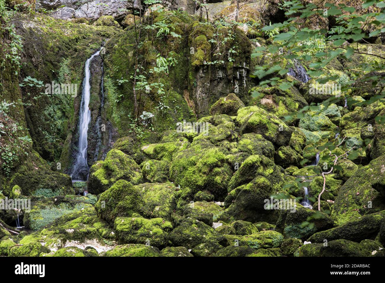 Kleiner Wasserfall auf moosbedeckten Steinen, Franche-Comte, Französischer Jura, Frankreich Stockfoto