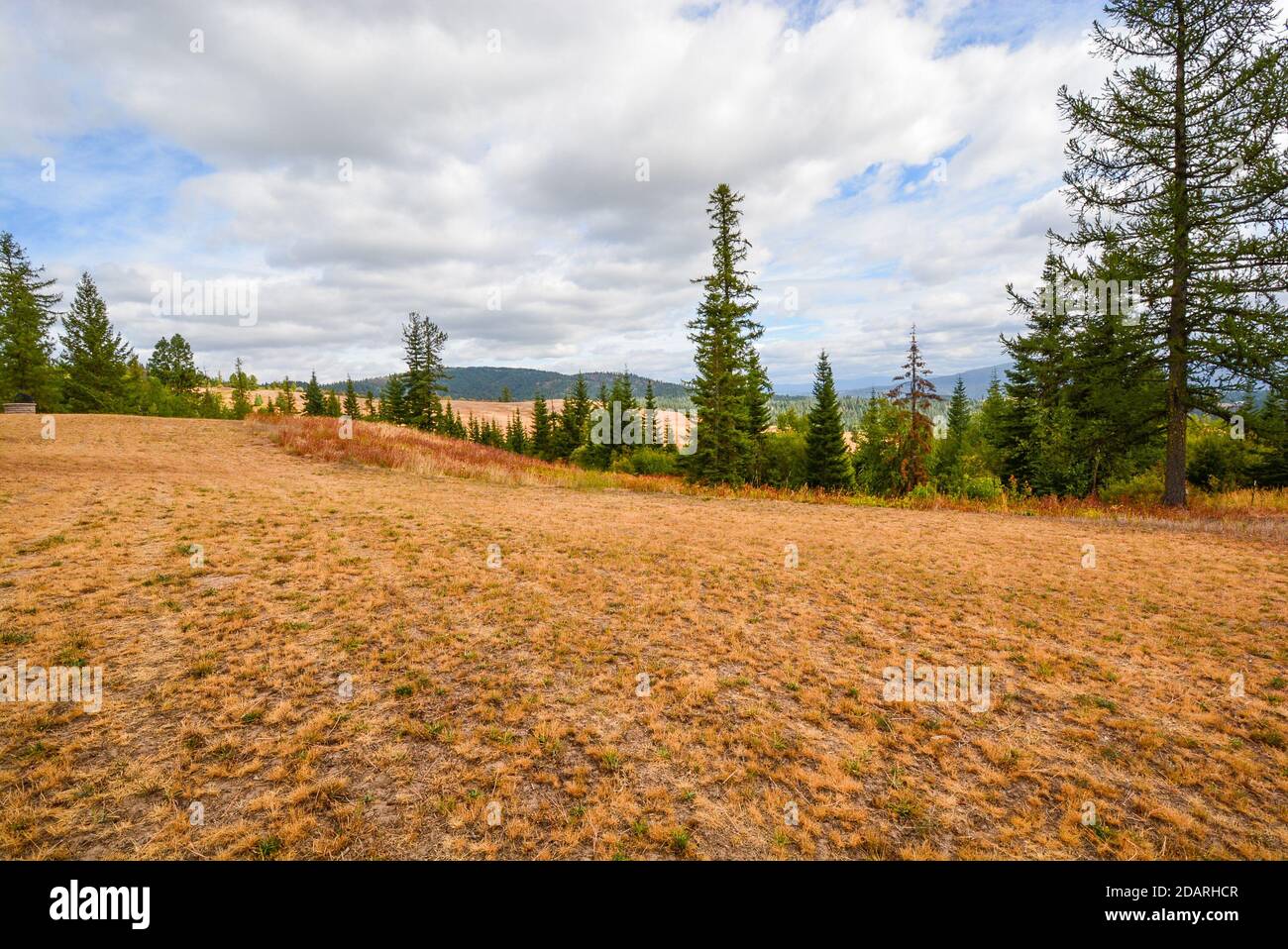 Die Berge und Felder von Nord-Idaho in der Nähe der Stadt Coeur d'Alene, Idaho USA im Herbst Stockfoto
