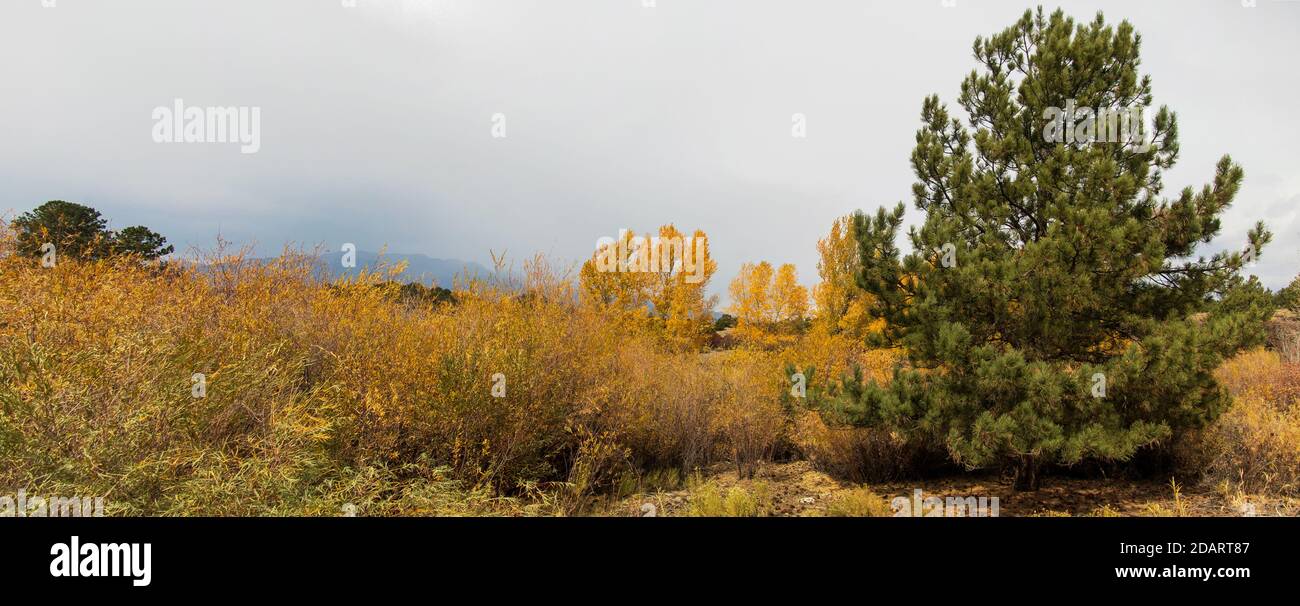 Buena Vista Herbst 2020 Stockfoto