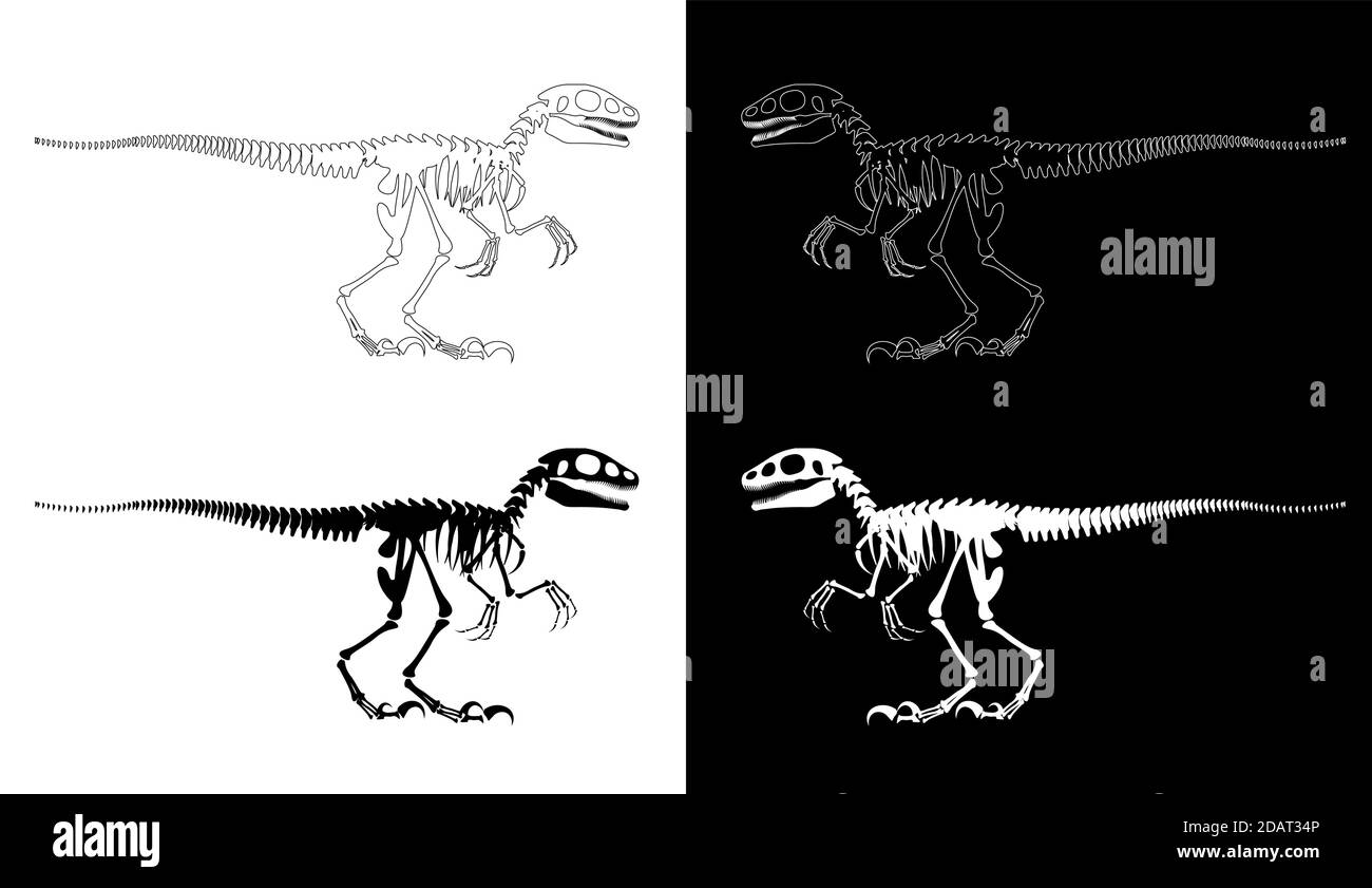 Skelett eines prähistorischen Dinosauriers, tirex. Designelement. Isolierter Vektor im linearen Stil Stock Vektor