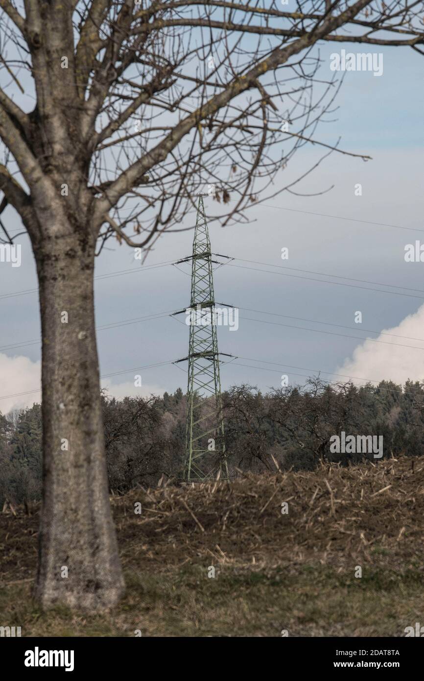 Hochspannungsleitung im Winter, Baum vorne, Wald hinten, kein Schnee Stockfoto