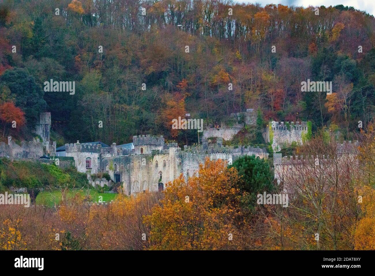 Gwrych Castle, Abergele, Wales, UK 15/11/2020, I’m a Celebrity: Nasse und windige Bedingungen am ersten Drehtag der Hit-Show bin ich eine Berühmtheit mit der Stadt Abergele, die sich auf die Show vorbereitet und die Massen vor Gwrych Castle heute. Die Stadt bereitet sich seit der Ankündigung mit Spruchbändern und thematischen Fensterdekors für viele der Geschäfte und Räumlichkeiten in der Stadt Nordwales auf die Show vor. Die Bedingungen sind windig, gelinde gesagt, mit kaltem, nassem und windigem Wetter am ersten Tag, was typisch für Großbritannien ist. Kredit: DGDImages/Alamy Live Nachrichten Stockfoto