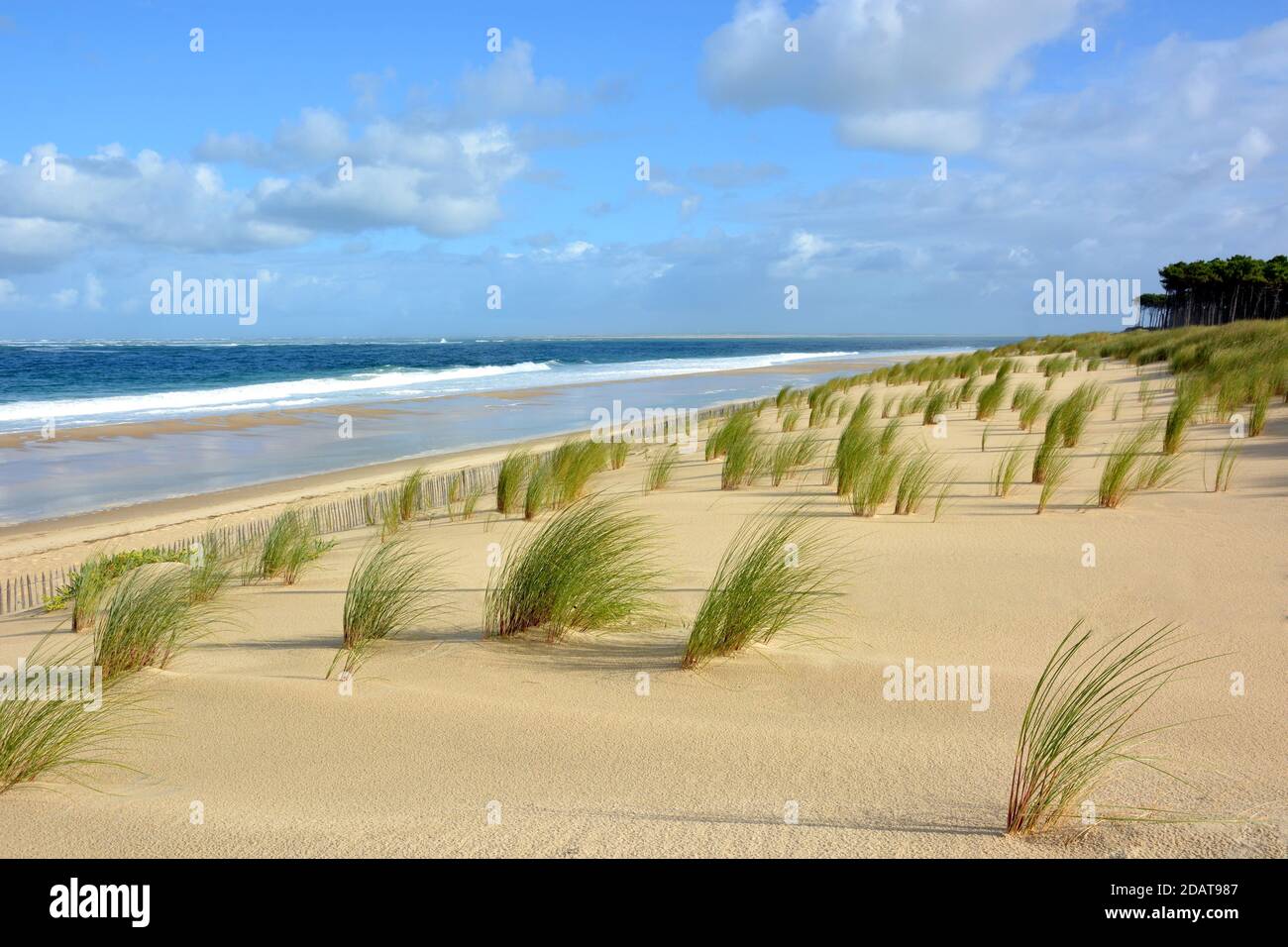 Frankreich, aquitanien, die atlantikküste bildeten einen immensen Sandstrand mit Dünen und Wellen gesäumt Surfen, hier die Lagune Strand . Stockfoto