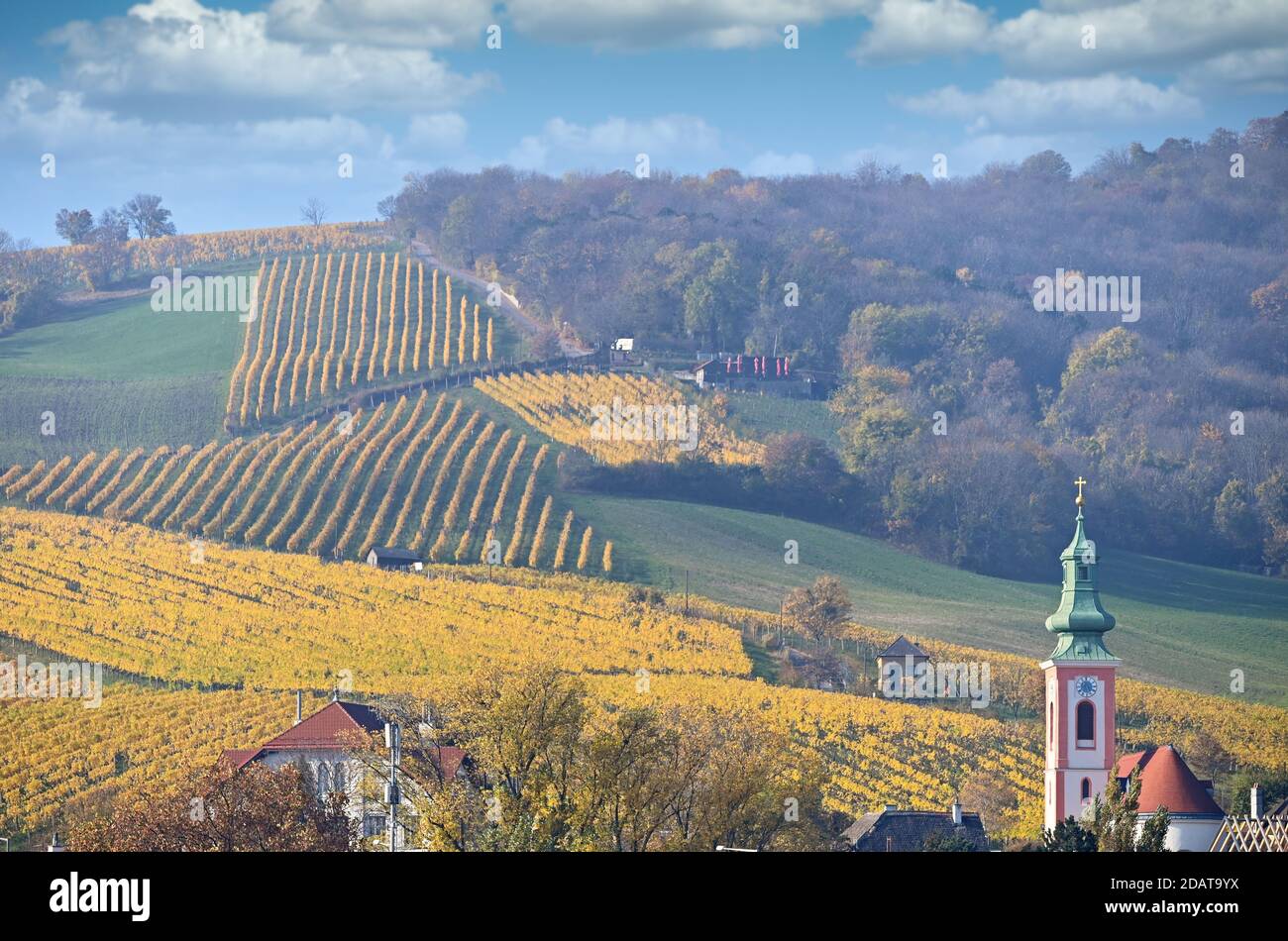 St. Georg Kirchturm und Weinberge Kahlenbergdorf Landschaft Wien Stockfoto