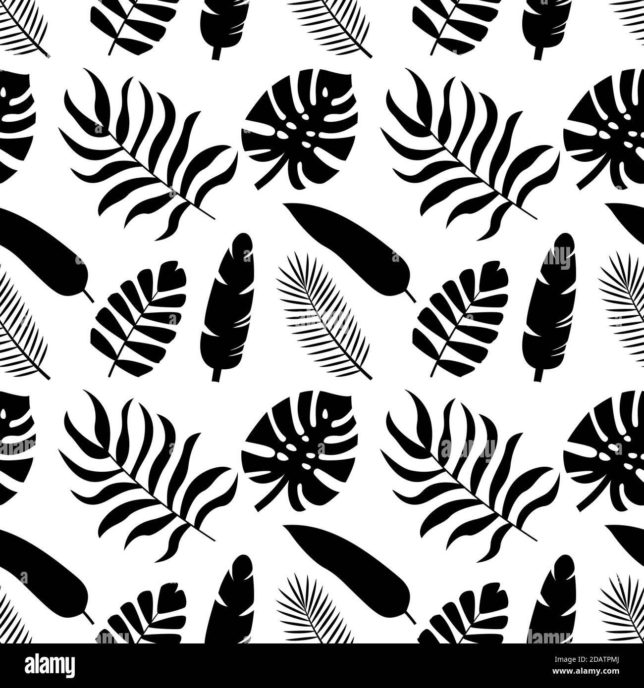 Nahtloses Muster tropischer Silhouetten von Palmblättern. Monstera, Kokosnuss, Banane, Mango, chamaedorea. Vektorgrafik auf weißem Hintergrund Stock Vektor