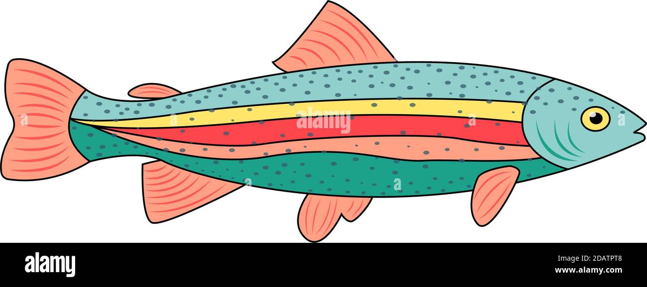 regenbogen Forelle Cartoon Fisch Multi-farbige Vektor-Illustration Stock Vektor