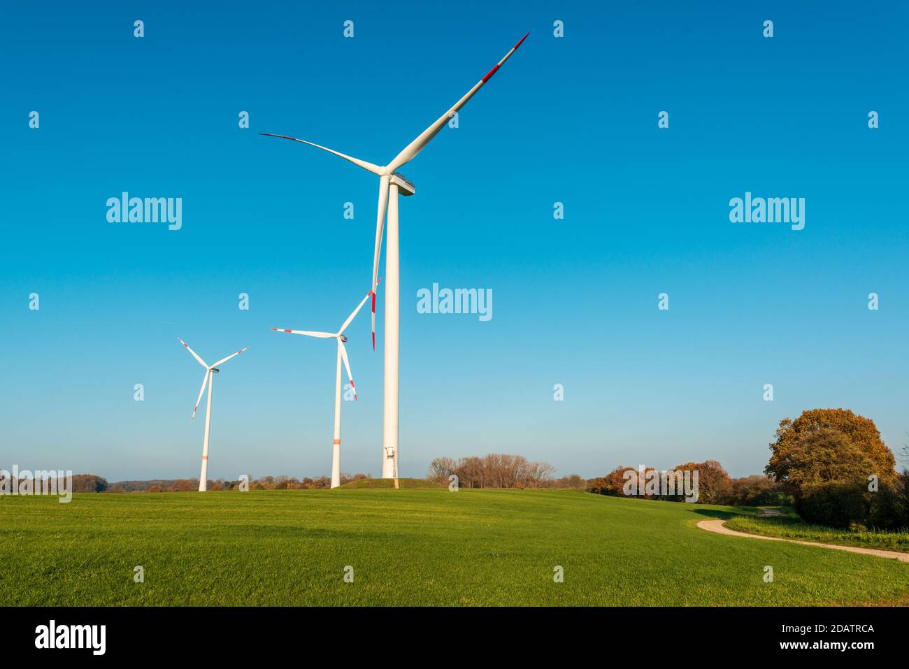 Windpark auf einem Feld in Schleswig-Holstein im Herbst vor strahlend Blauem Himmel Stockfoto