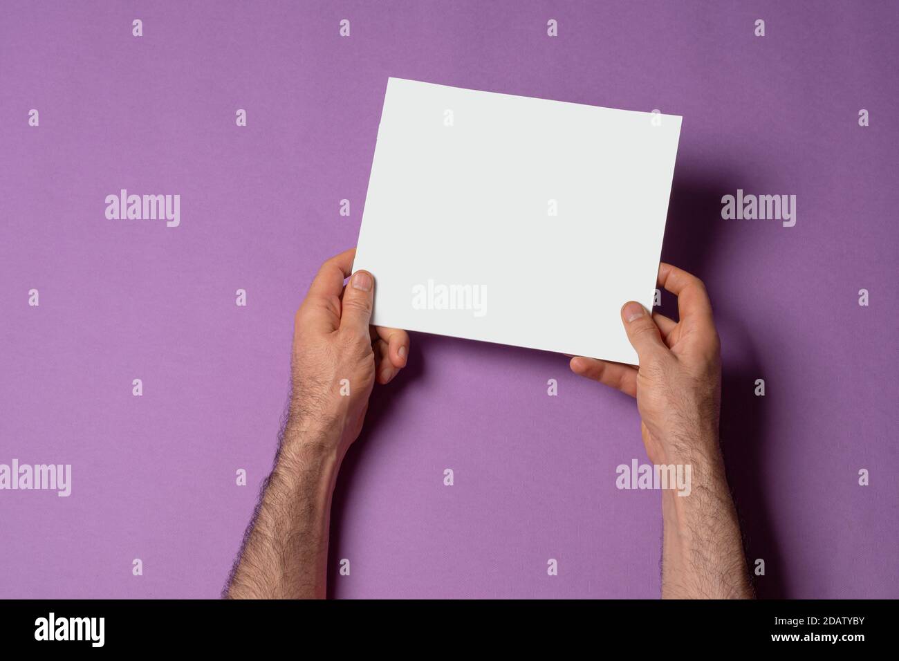 Männliche Hände mit einem quadratischen Anteil Katalog mit leerem Cover auf lila Hintergrund, Modell-up-Serie Vorlage bereit für Ihr Design, Cover-Auswahl p Stockfoto