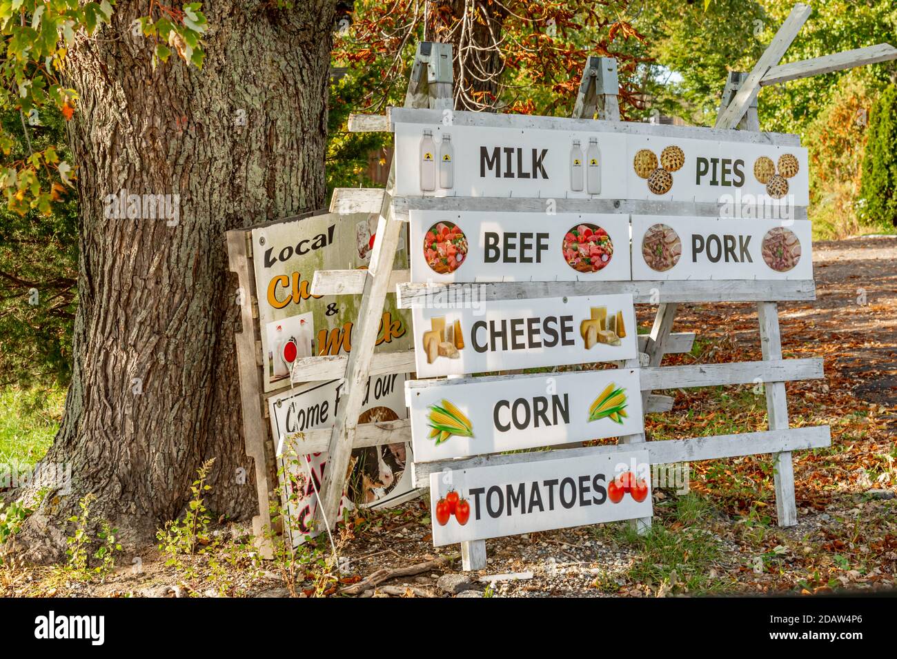 Farmstandschild auf der North Fork, Long Island, NY Stockfoto