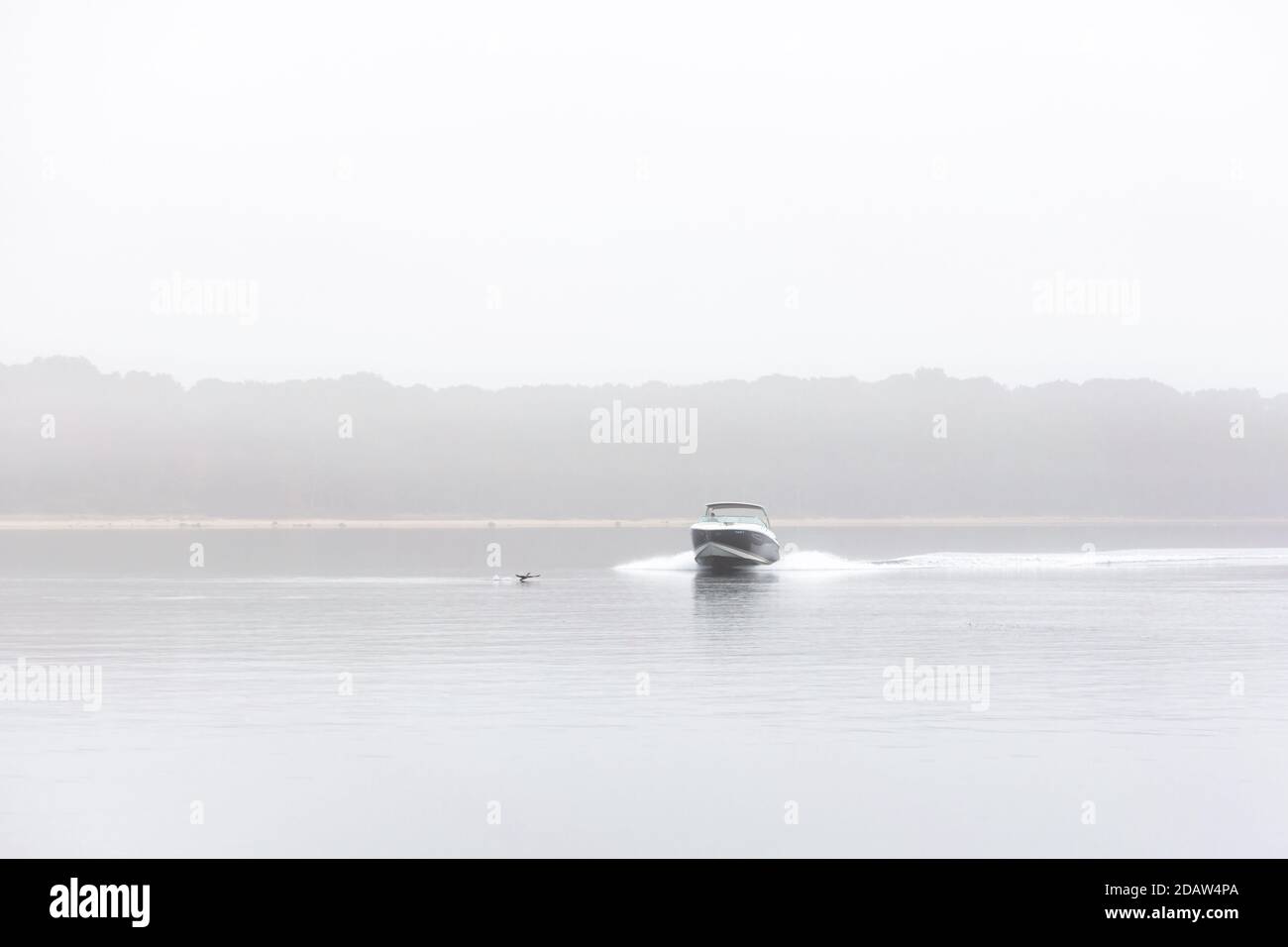 Motorboot unterwegs an einem nebligen Morgen, Sag Harbor, NY Stockfoto