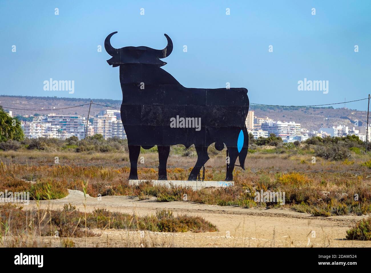 Großer schwarzer Osborne Bull, Santa Pola, Costa Blanca, Spanien Stockfoto