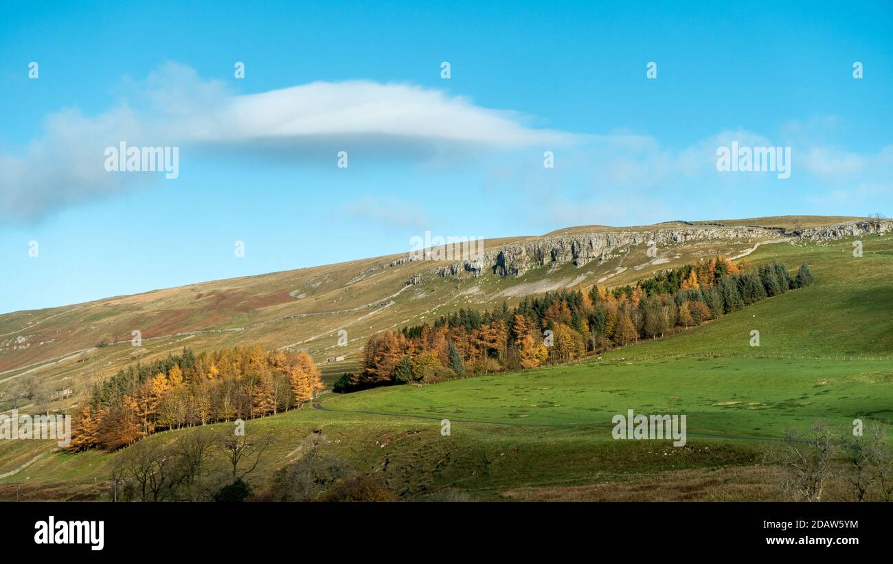 Britische Landschaft: Atemberaubendes Wetter in Littondale, einem Tal vor Wharfedale mit goldenen Herbstfarben im Laub der Laublärche, Yorkshir Stockfoto