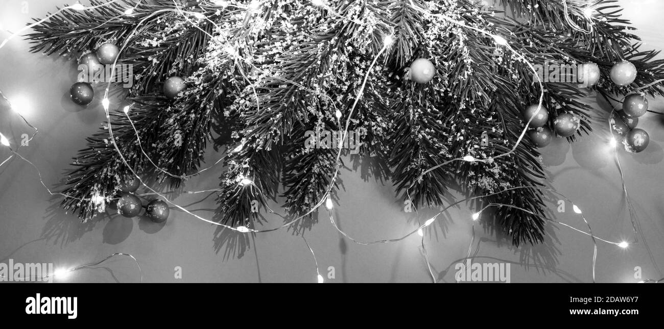 Schwarz-weißes Weihnachtsbanner mit Tannenzweigen, Schnee, Beeren, leuchtenden Weihnachtslichtern. Draufsicht. Stockfoto