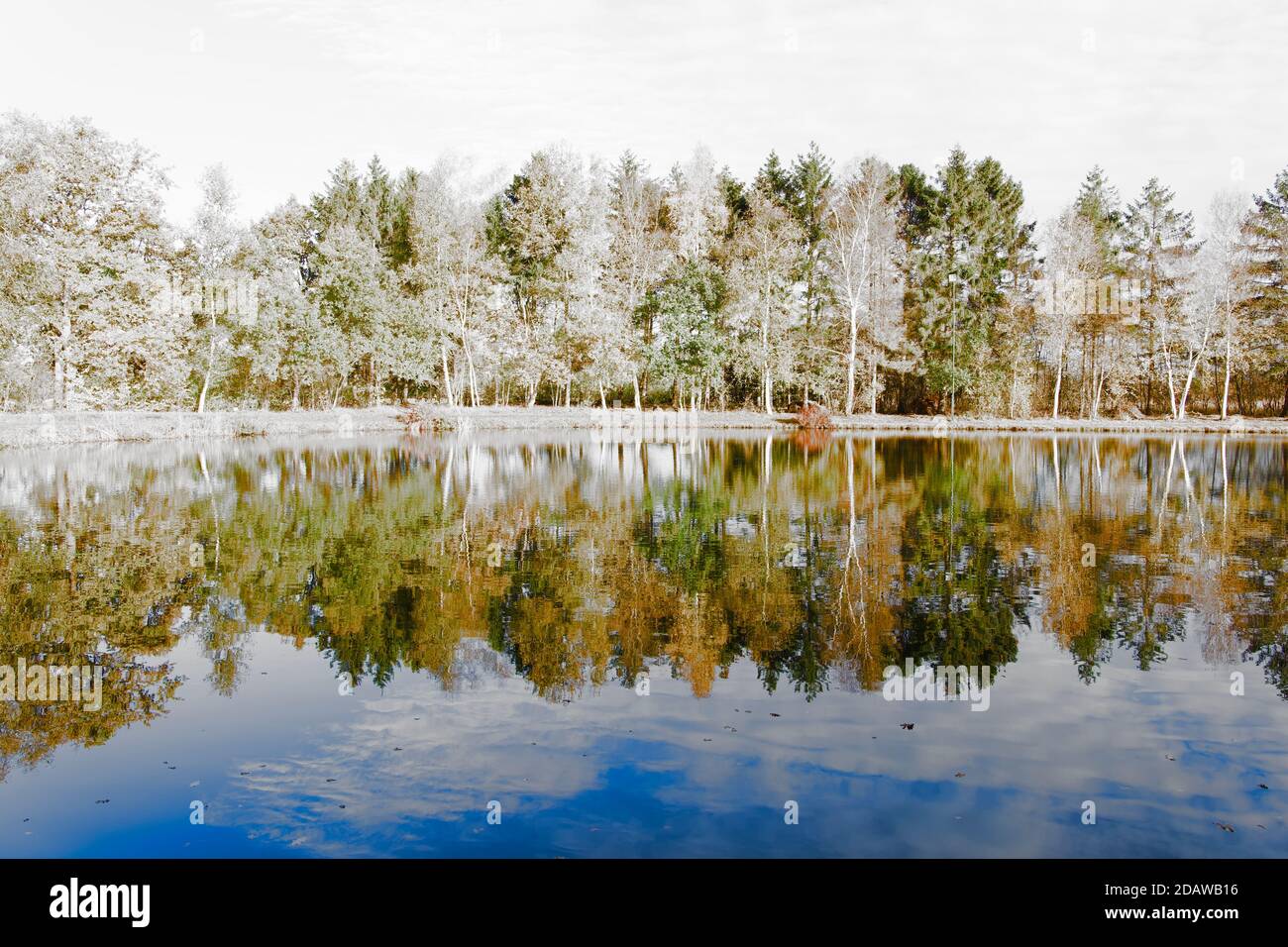 Herbstbäume Farbreflexion in stilles See, Konzept - Vollformat, Kopierraum, horizontale Komposition Stockfoto