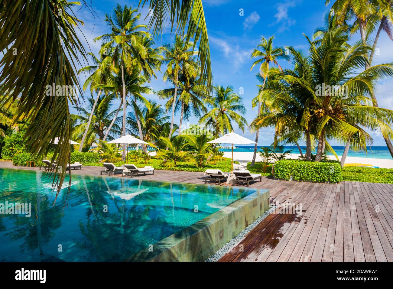 Infinity-Pool mit Kokopalmen Bäume in einem wunderschönen Resort Bei Tageslicht Stockfoto