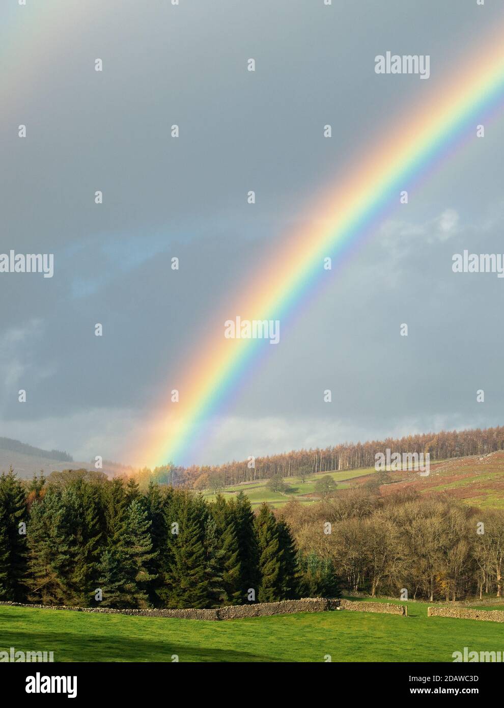 UK Wetter: Atemberaubender Regenbogen über Barden in Wharfedale, Yorkshire Dales National Park Landschaft: Atemberaubender Regenbogen über Barden in Wharfedale, Yorkshire Stockfoto