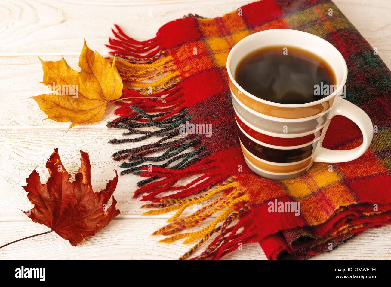 Gestreifter Becher heißen dampfenden Kaffees auf einem Fransen-Wollschal mit Karottenmuster und zwei Herbstblättern über weißer Holz-rustikaler Oberfläche. Gemütliches Herbststimmung Konzept. Top Vie Stockfoto
