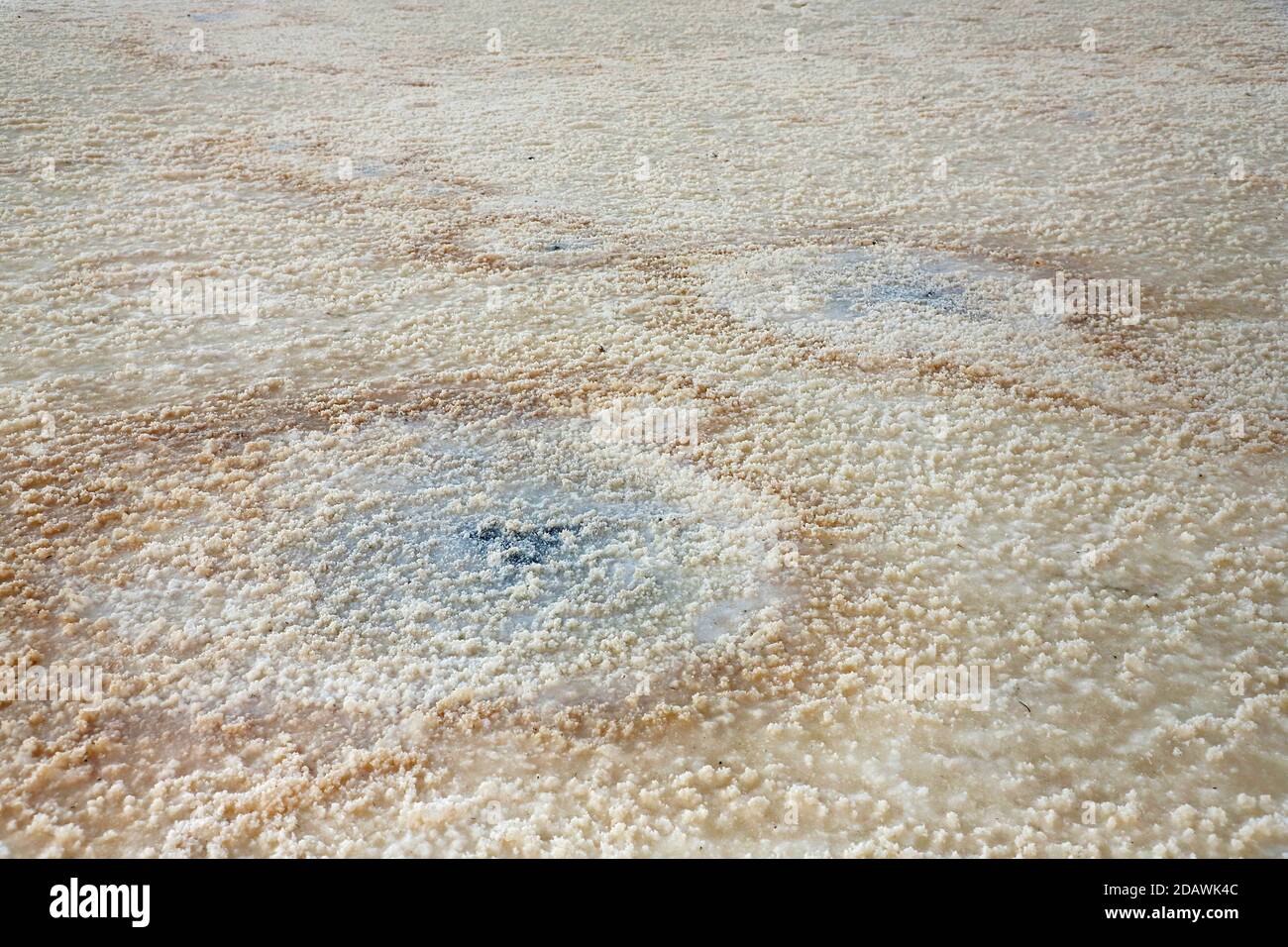 Atemberaubende, weiße Salzwüste oder Salzsee. Kreismuster von Salzkristallen. Stockfoto