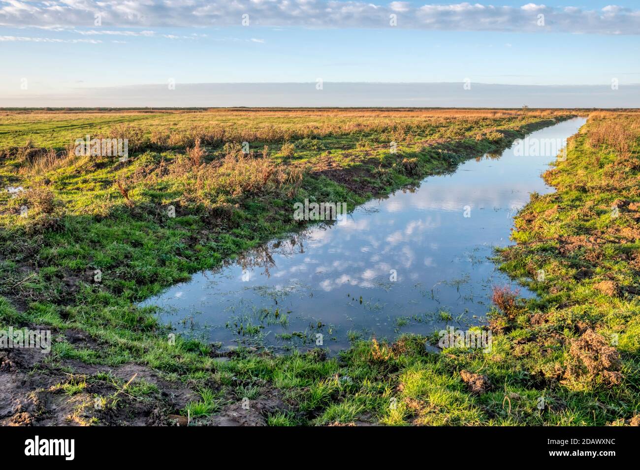 Drainage Kanal über Süßwasser Sumpf Weide am Ostufer des Wash. Stockfoto