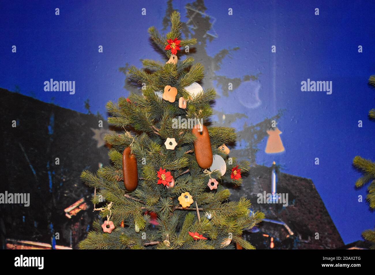 Immergrüne Weihnachtsbaum Kiefer oder Tanne mit Lichtern und dekoriert Ornamente im Dezember Es kann frisch geschnitten oder künstlich Verwendung im Innen- und Außenbereich Stockfoto