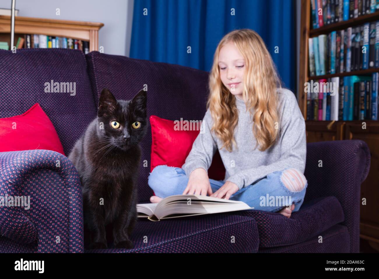 Pre-teen, fahhaarige junge Mädchen lesen, mit ihrer Katze für die Gesellschaft. Konzentrieren Sie sich auf Katze. Stockfoto