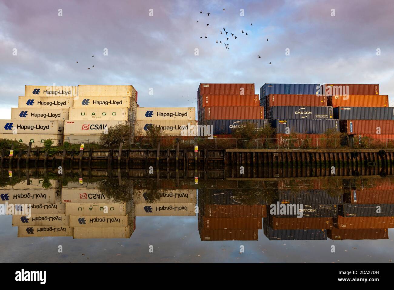 Southampton, Großbritannien, 10. November 2020. Vögel fliegen über dutzende intermodale Farbcontainer, die an den Docks von Southampton übereinander gestapelt sind. Die Frachtcontainer, die mit verschiedenen Reederei-Namen und Logos geschmückt sind, spiegeln sich in den stillen Gewässern des River Test als Spiegelbild wider. Stockfoto
