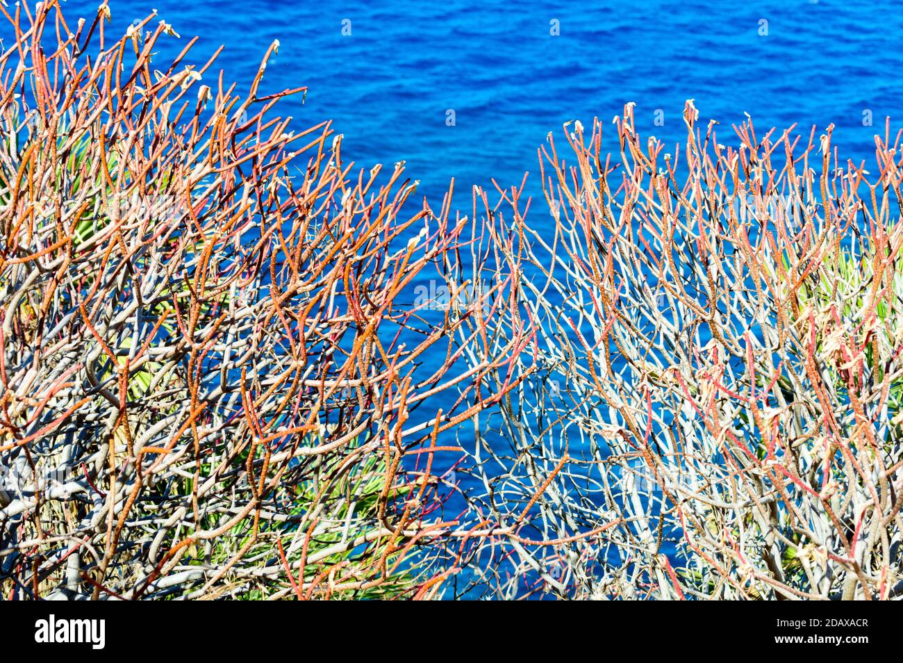 Trockener klimit Fotos und Bildmaterial in hoher Auflösung Alamy