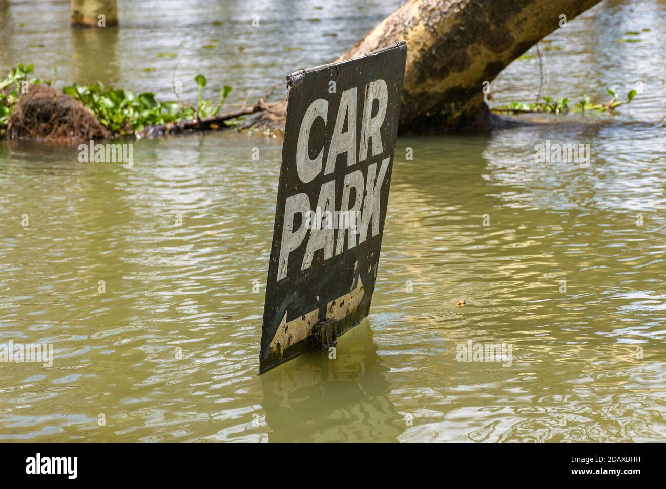 Ein Parkplatzschild teilweise untergetaucht aufgrund steigender Wasserstände, See Naivasha, Kenia, Ostafrika Stockfoto
