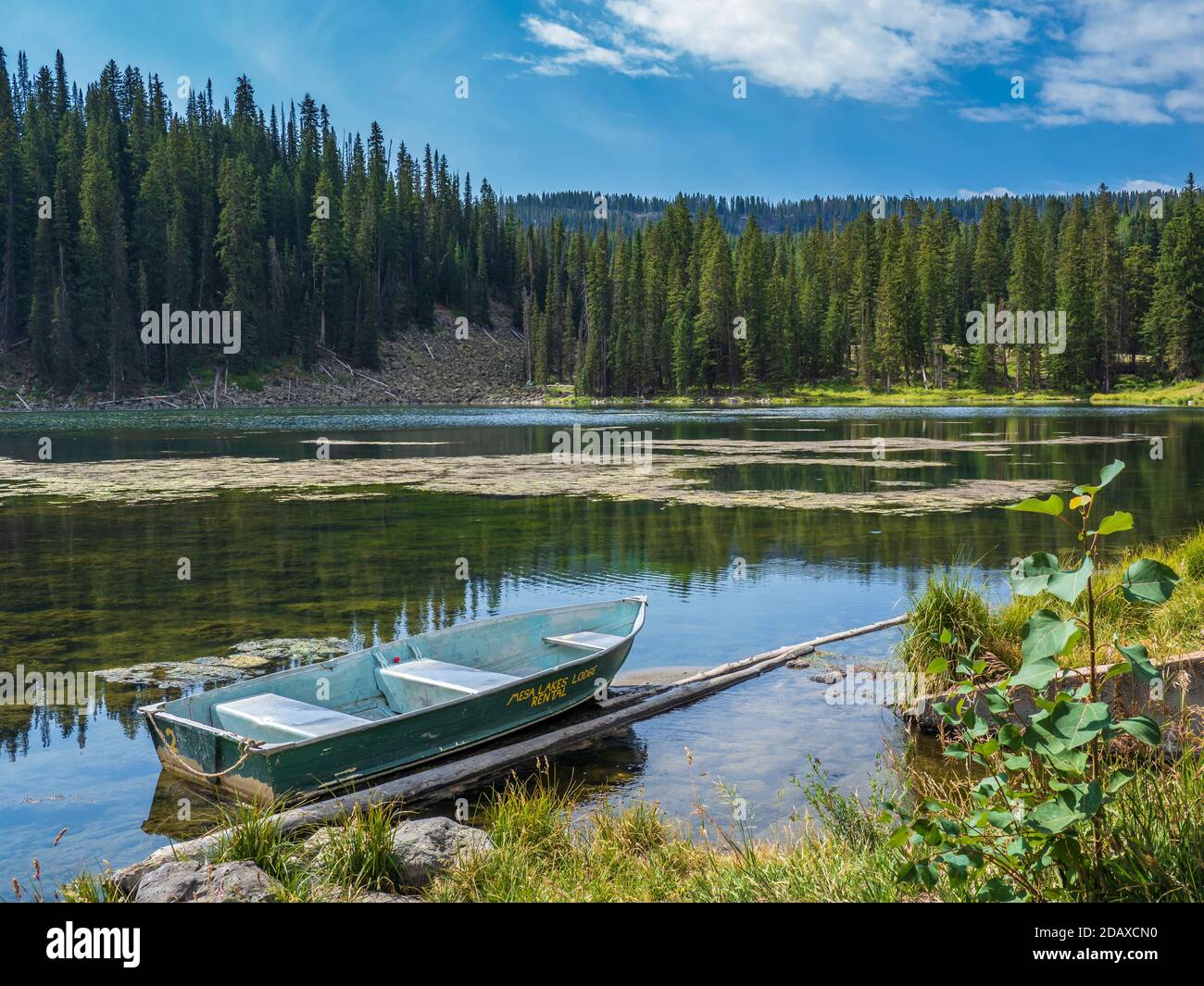 Mesa Lakes Resort Mietboot in Beaver Lake, Mesa Lakes Gegend, Grand Mesa, Colorado. Stockfoto