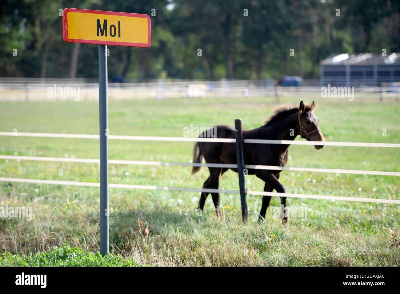 Abbildung zeigt den Namen der Gemeinde Mol auf einem Straßenschild, Freitag 21 September 2018. BELGA FOTO YORICK JANSENS Stockfoto