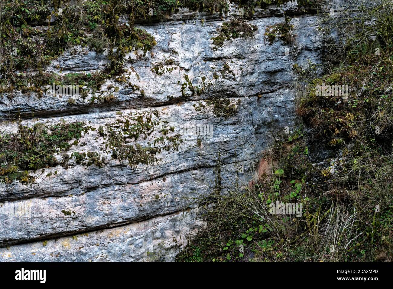 Landschaft mit tiefer Guam-Schlucht mit moosigen Steinen Stockfoto