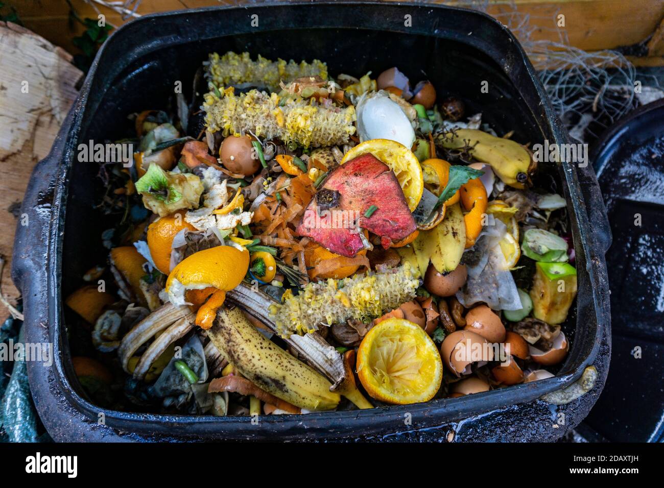 Kompostierung. Die Spitze eines Komposteimer mit den Resten von Obst und Gemüse, Eier und Vegetation. Stockfoto